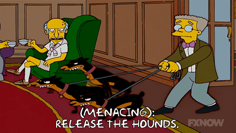 Release the hounds
